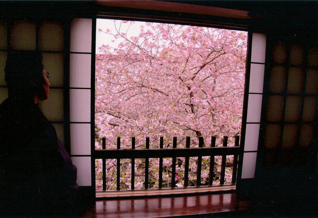 Tabi No Yado Satsuki Hotell Hita Exteriör bild