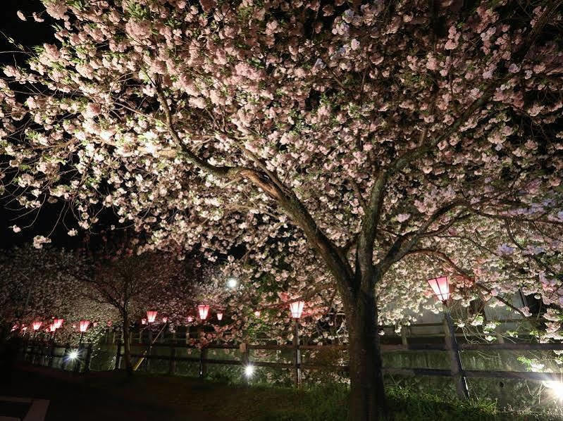 Tabi No Yado Satsuki Hotell Hita Exteriör bild